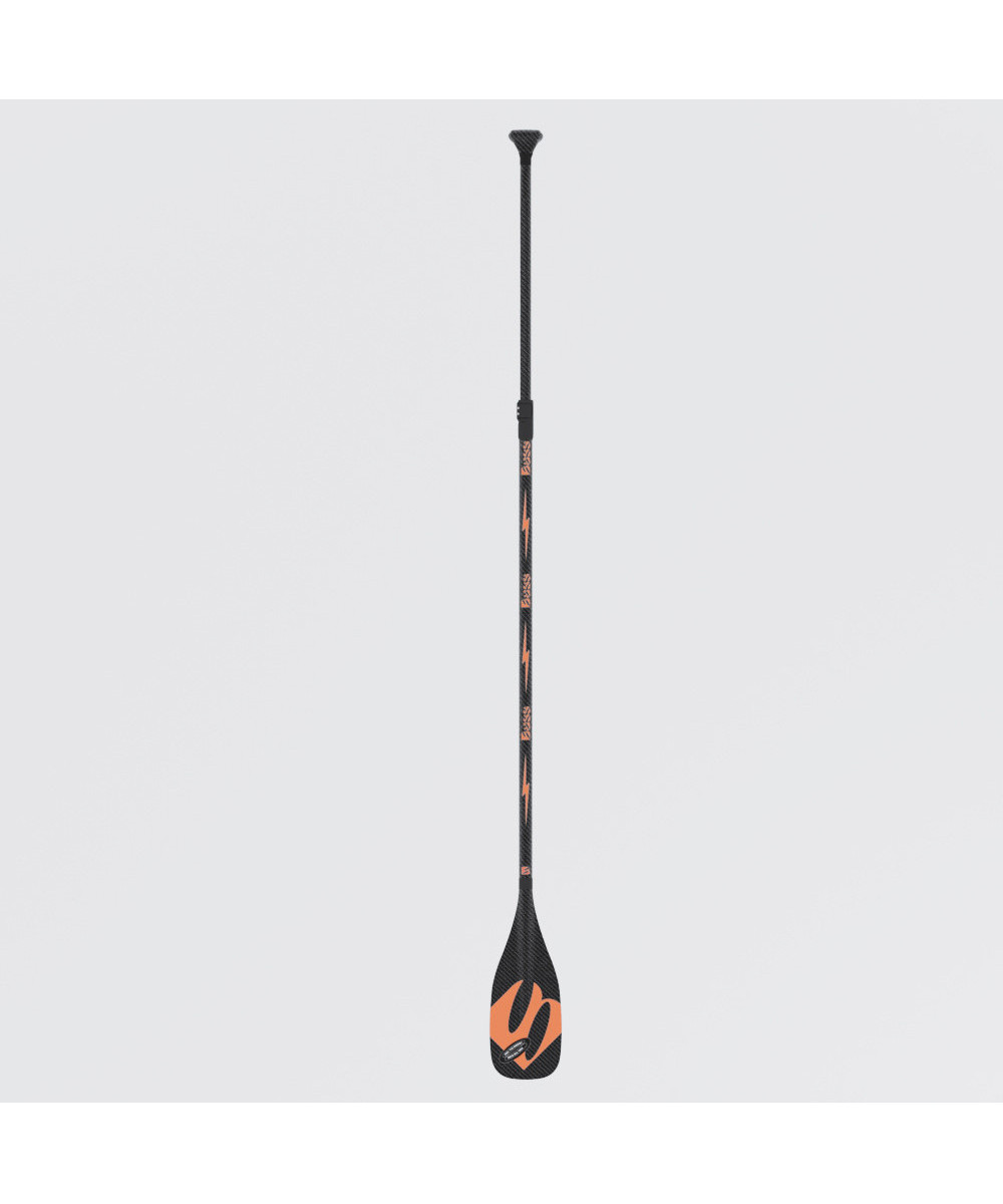 2P WIOSŁO BASS EXTREME PRO